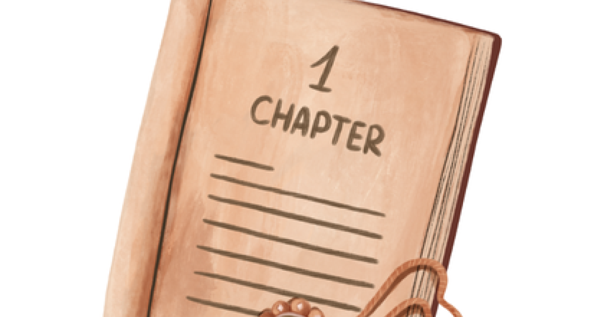 Chapter book | 1001 Stories