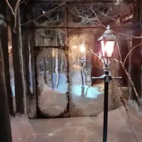 Narnia Niche small