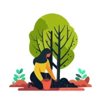 Plants And Trees Natural World 1