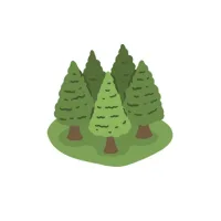 Forests And Woodland Settings 1
