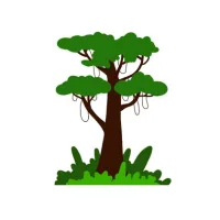 Jungles And Rainforests Settings 1