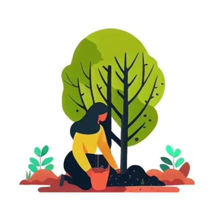 Plants And Trees Natural World 1