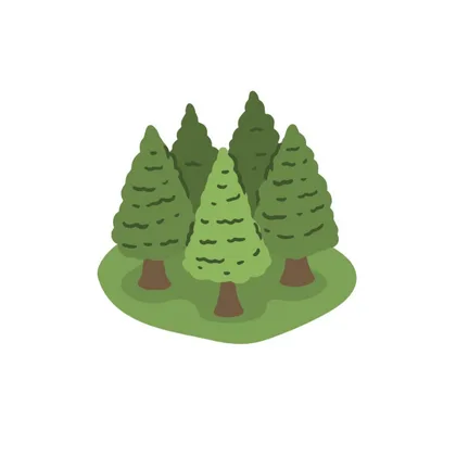 Forests And Woodland Settings 1