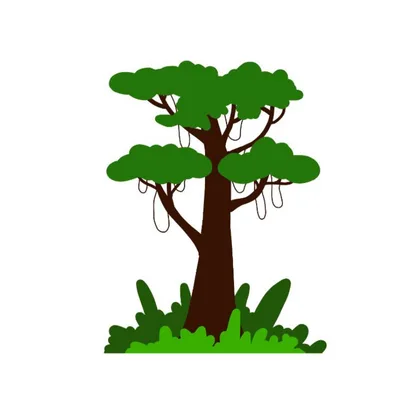 Jungles And Rainforests Settings 1