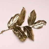 King midas square leaf