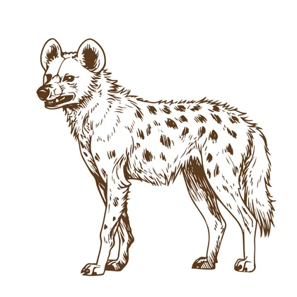 Goat And Hyena SID00266 3