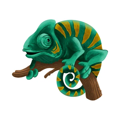 Anansi And The Chameleon SID00048 1