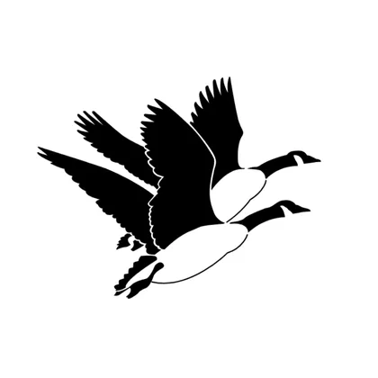 Baba Yagas Black Geese SID00076 1