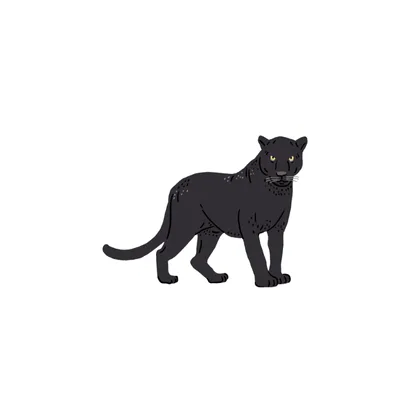 Panther And Rabbit SID00524 1