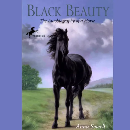 Black Beauty SID00109