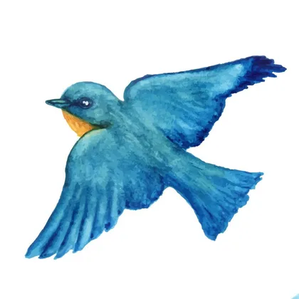 Blue Bird SID01164