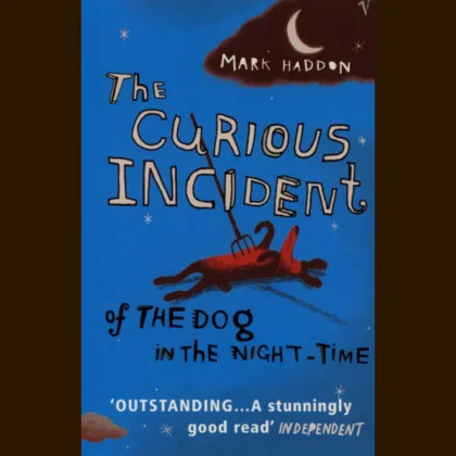 The Curious Incident of the Dog in the Night time