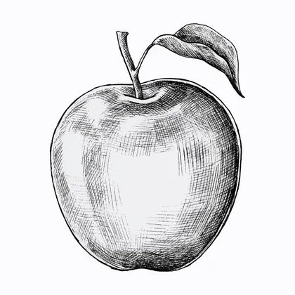 The Silver Saucer And The Transparent Apple SID00936