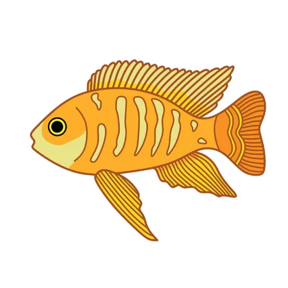 The Golden Fish SID00785