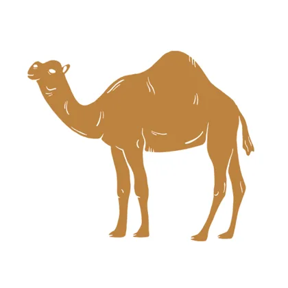The Lost Camel SID00855