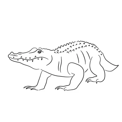 The Monkey And The Crocodile SID00873