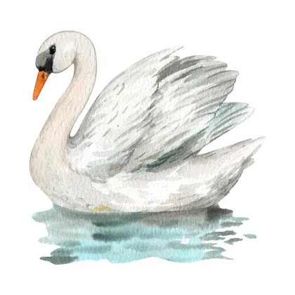 The Children Of Lir SID00713