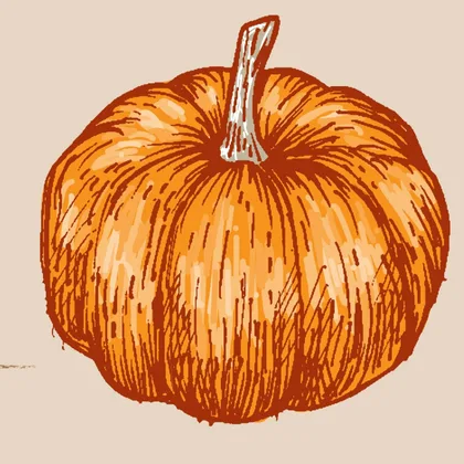 Cinderella Or Aschenputtel SID00160