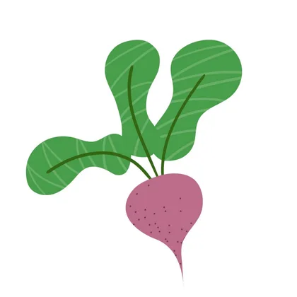 The Gigantic Turnip SID00775