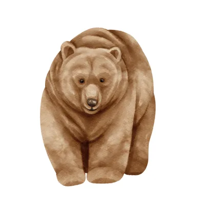 Mashenka And The Bear SID00437