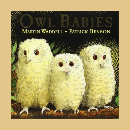Owl Babies SID00520